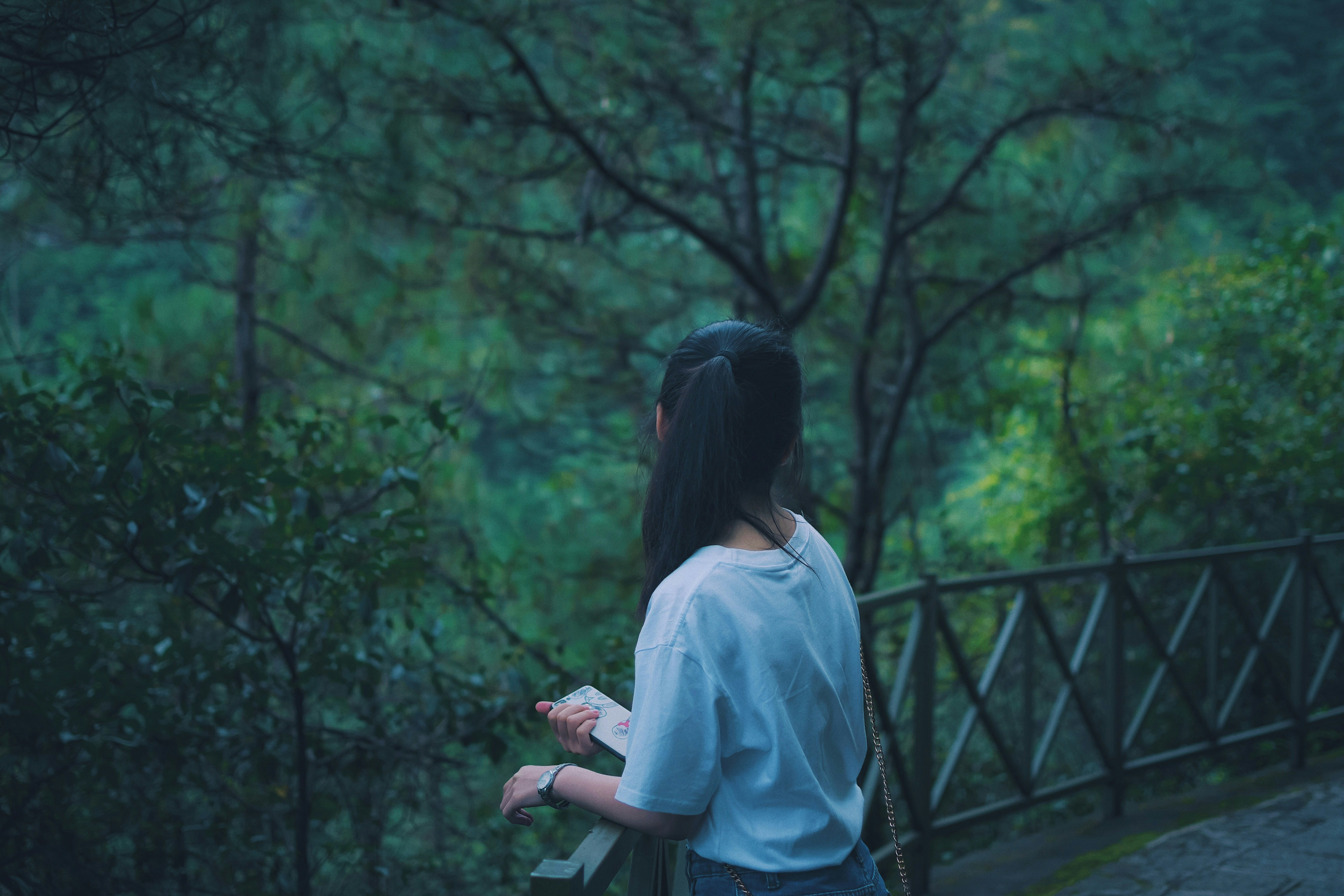 柳岸